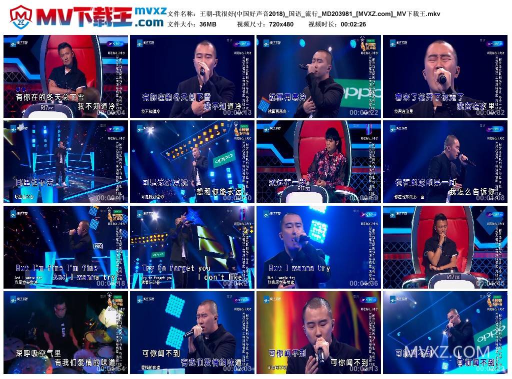 王朝-我很好(中国好声音2018)_国语_流行_MD203981